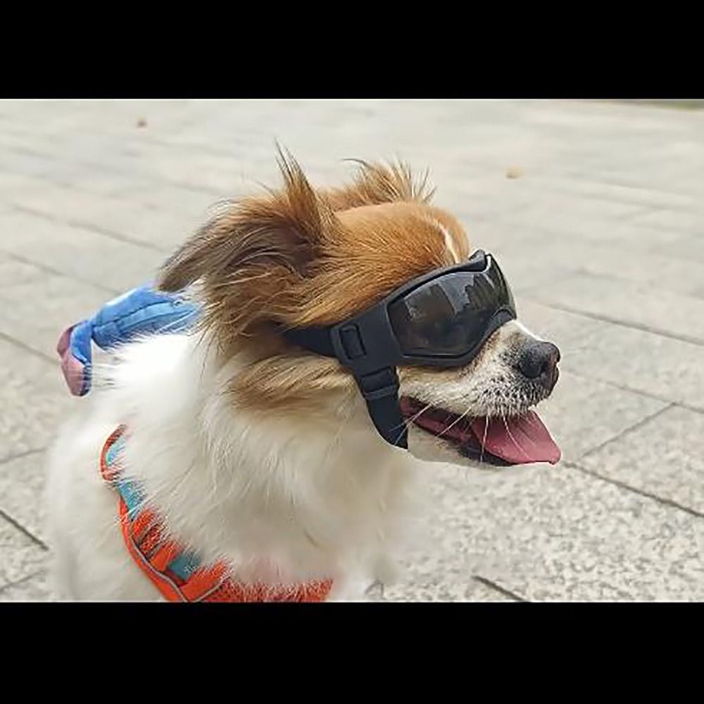 Silicon+PC+Nylon Pet Goggles A - огляд і ціна Windsor Knot Tie