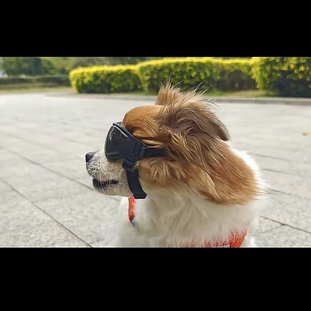 Silicon+PC+Nylon Pet Goggles A - огляд і ціна Windsor Knot Tie